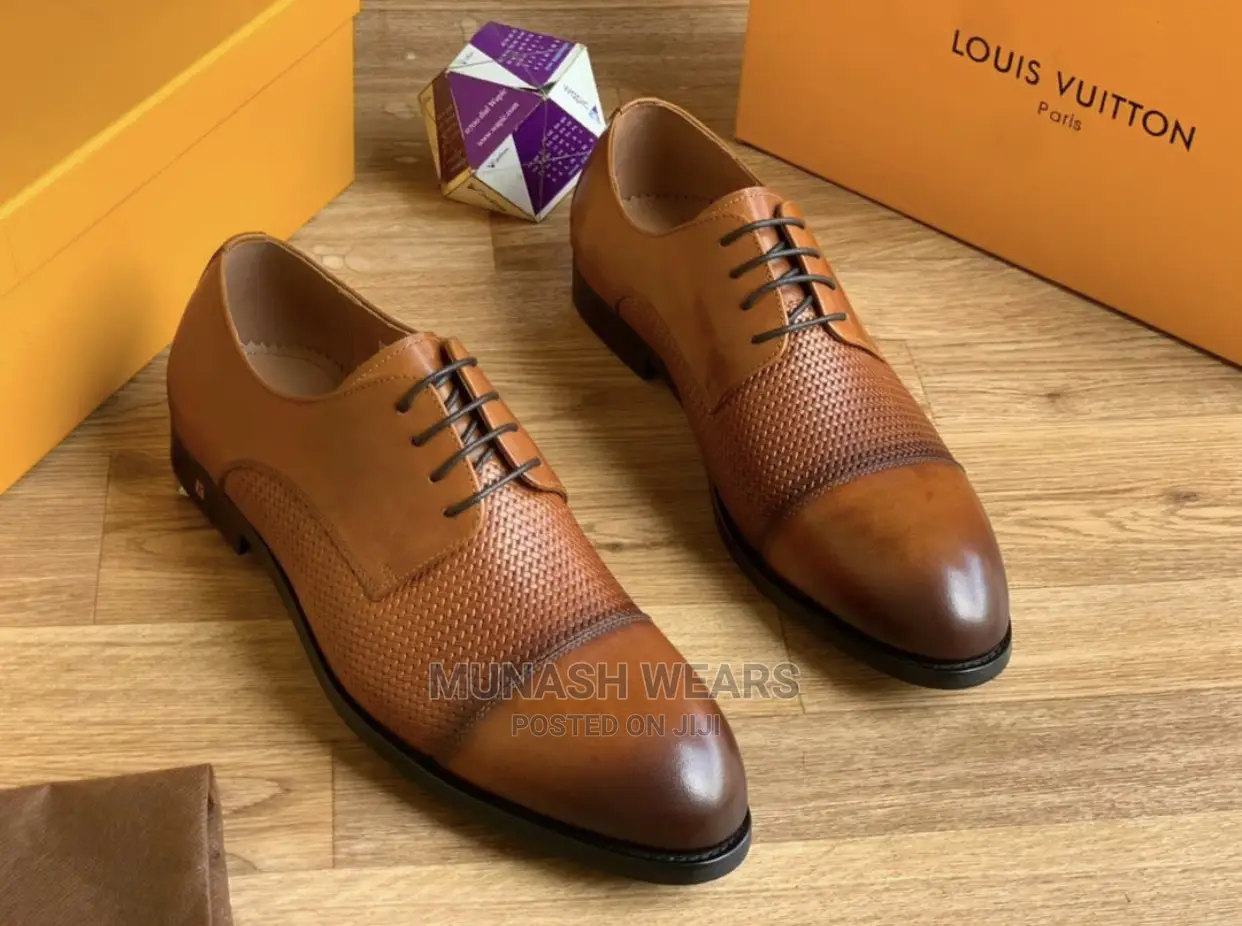 Louis Vuitton Luxury Shoe