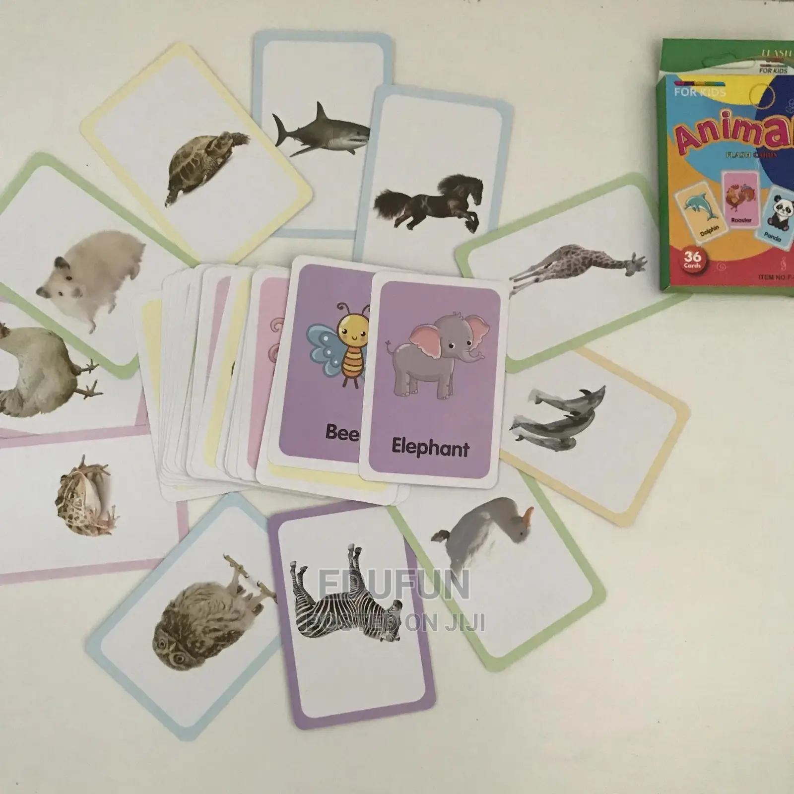 Kids Learning Flash Cards