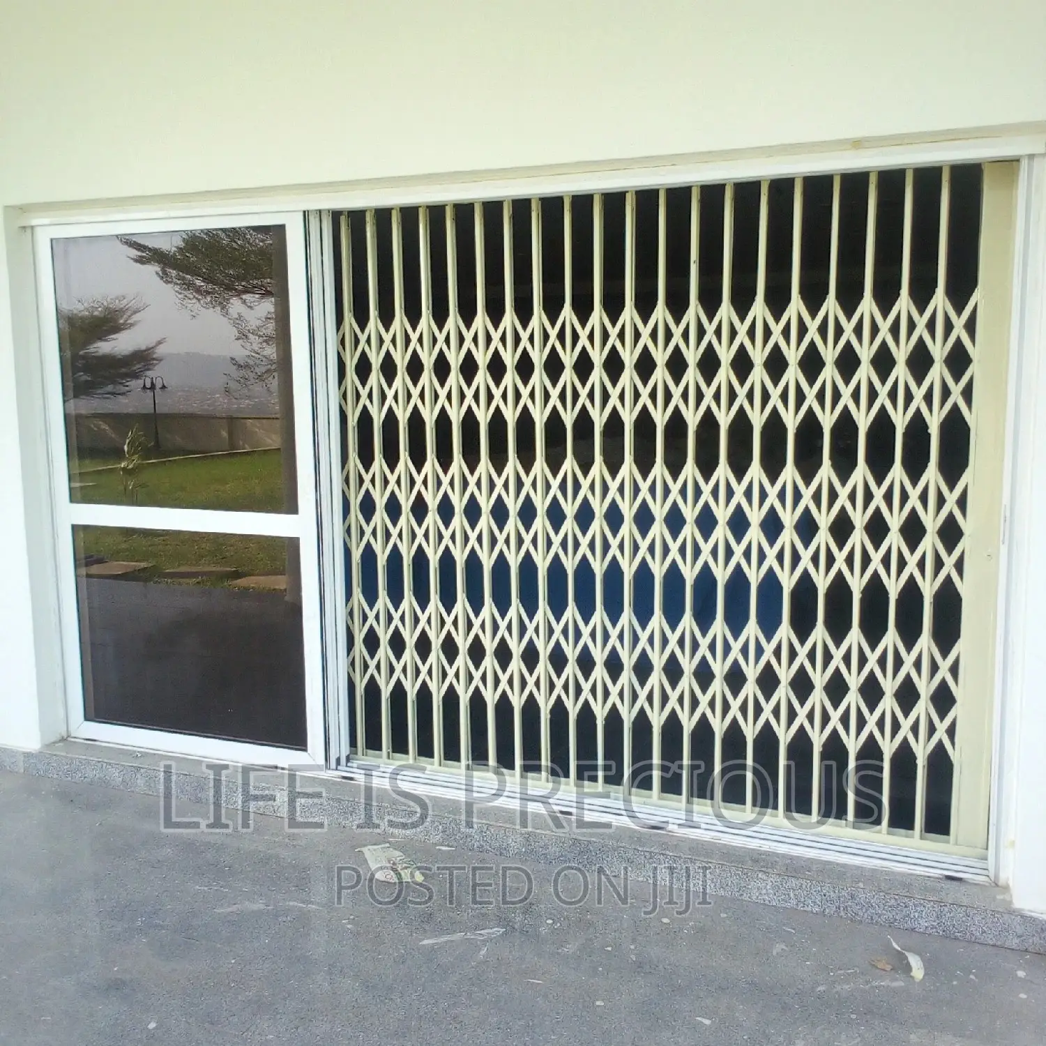 Roller Shutter and Collersible Doors