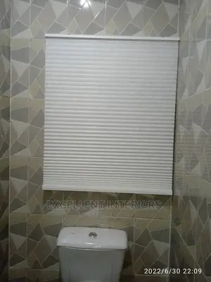 Luxury Toilet Window Blinds