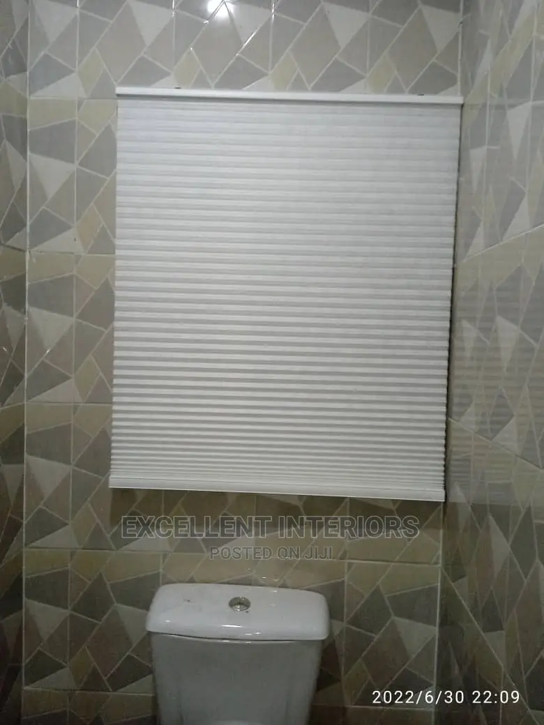 Luxury Toilet Window Blinds