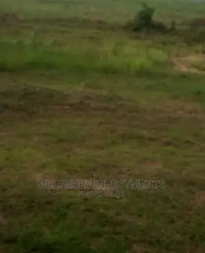 Very Lovely Residential Land for Sale