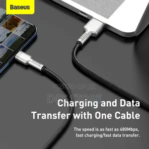 Baseus Cafule Series Metal Data Cable 66w USB to Type C