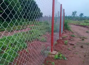 Chain Link Galvanize