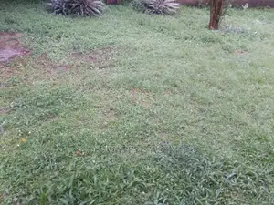 A 1500sqm Sized Land for Sale at Alagbaka Extension
