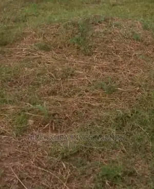 75 Hectares of Land for Sale at Lekki