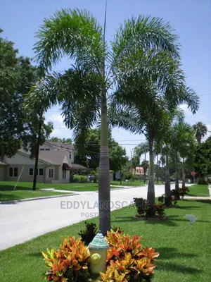 Horticulture