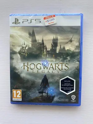 Ps5 Hogwarts Legacy