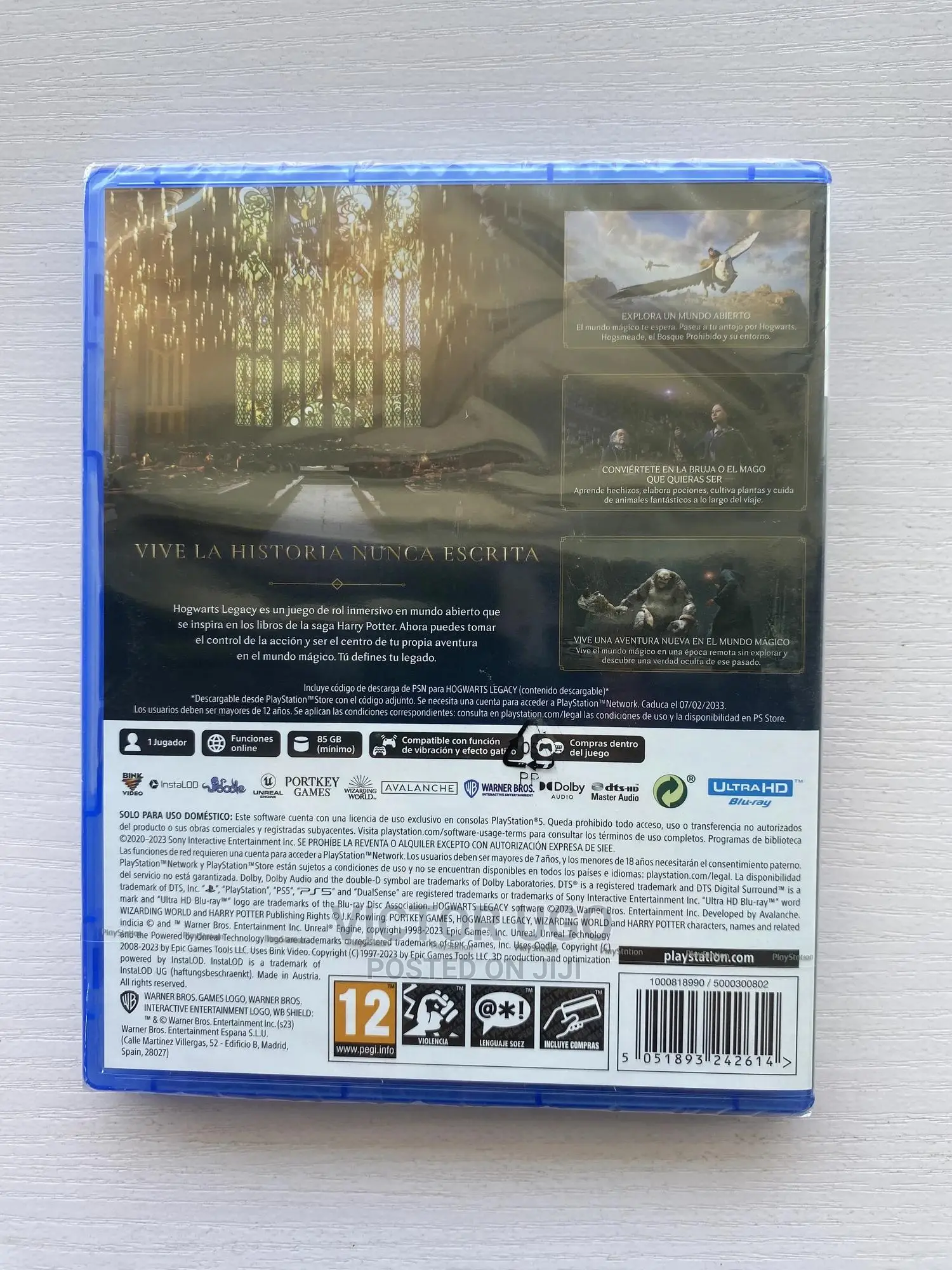 Ps5 Hogwarts Legacy