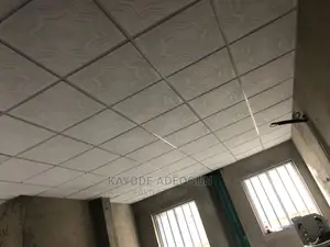 Suspended Ceiling