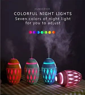 Olive Humidifier