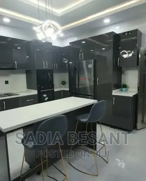 Exquisite Kitchen Cabinet Design With Accessories