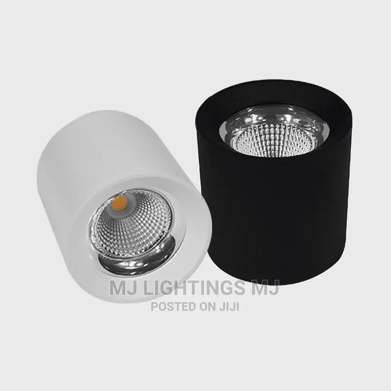 10watts Surface Spot Ceiling Lamp.