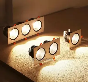 Double Spot Lights