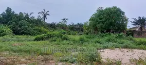 Land WTH Excision, Survey Document for Sale in Ajah