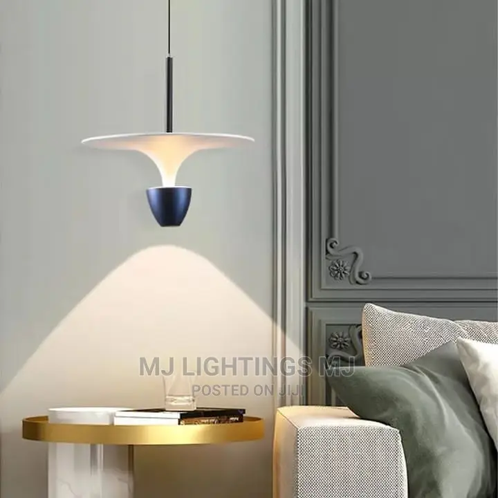 Long Pendant LED Drop Light.