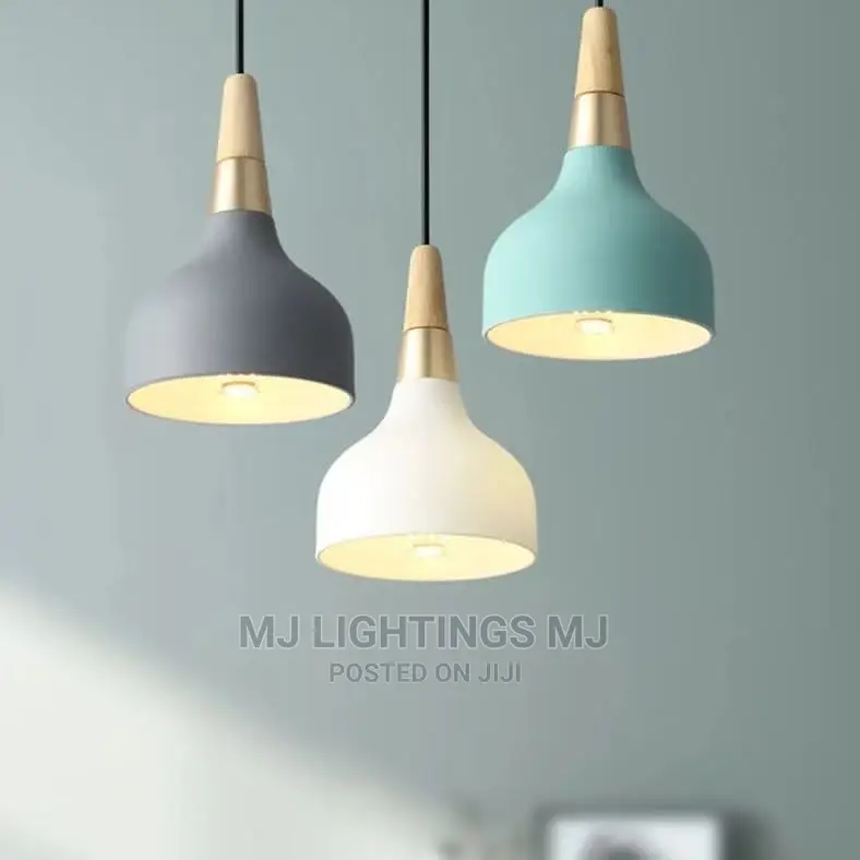 Modern Hanging Ceiling Lamp