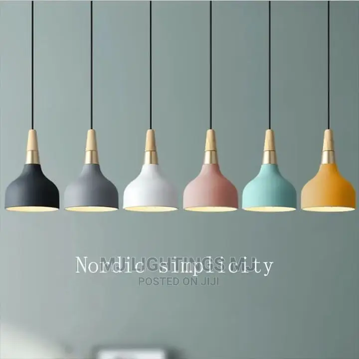 Modern Hanging Ceiling Lamp