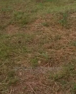Very Good and Dry Secured Land for Sale at Ikoyi