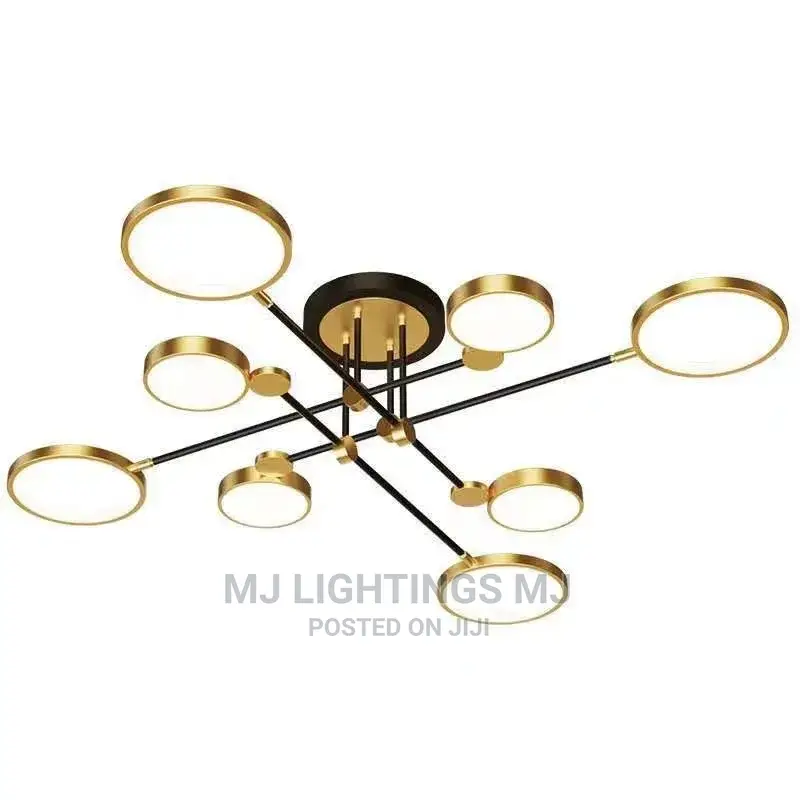 Pendant Ceiling Indoor Lamp.