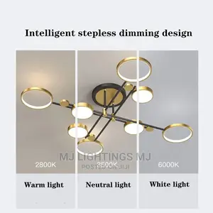 Pendant Ceiling Indoor Lamp.