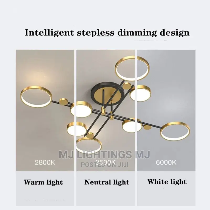 Pendant Ceiling Indoor Lamp.
