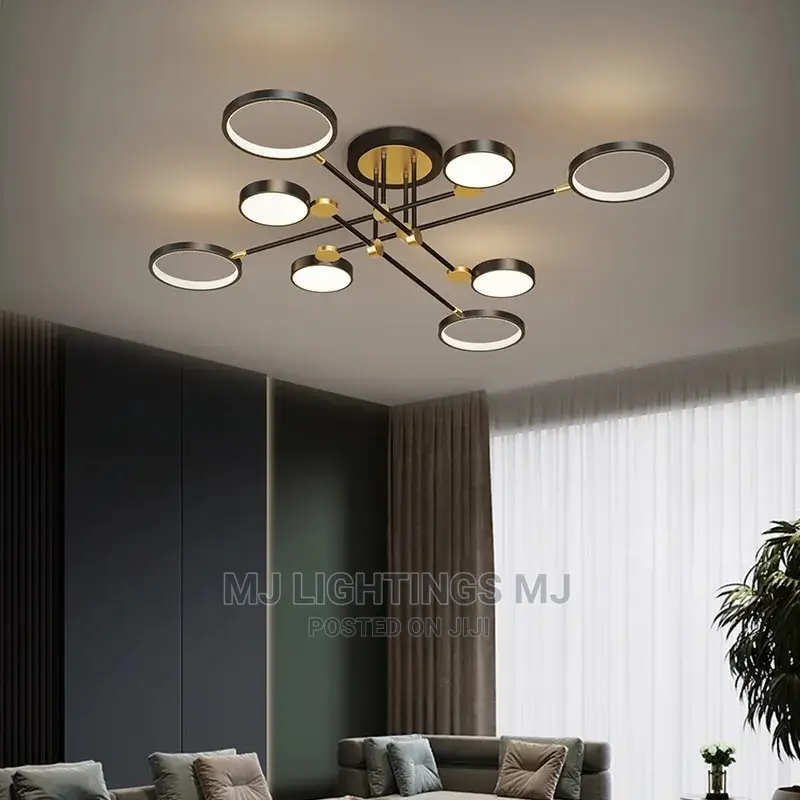 Pendant Ceiling Indoor Lamp.