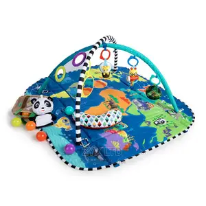 Photo - Baby Einstein