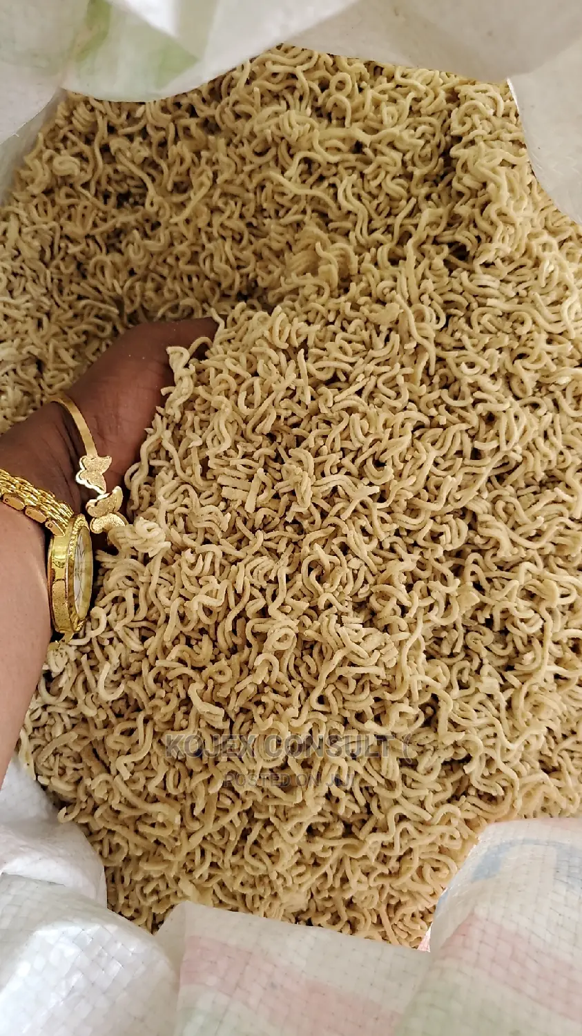 Dog Noodles