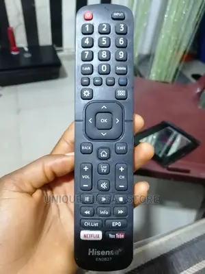 Hisense Remote