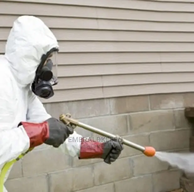 Expert Fumigation Is Ourthing