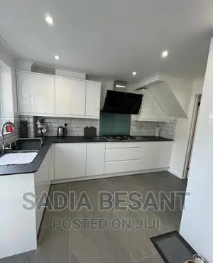 Contemporary Kitchen Cabinet Design With Accessories