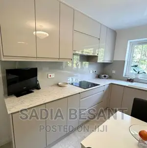 Contemporary Kitchen Cabinet Design With Accessories