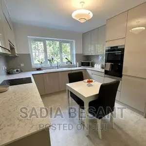 Contemporary Kitchen Cabinet Design With Accessories
