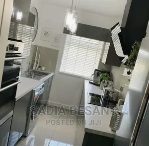 Luxury Mini Kitchen Cabinet Design With Accessories
