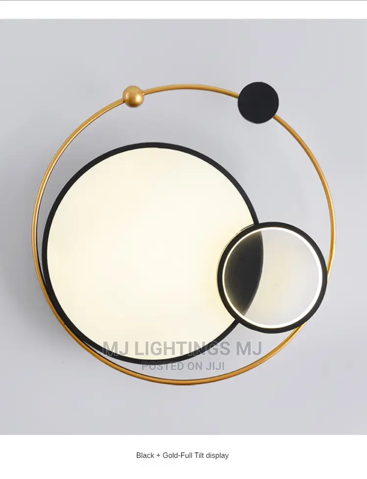 Modern LED Ceiling Hanging Light