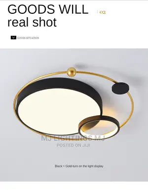 Modern LED Ceiling Hanging Light