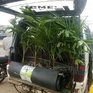 Queens Palm Supply to Your Doorstep