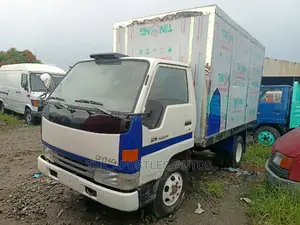 Dyna Truck With Covered Body