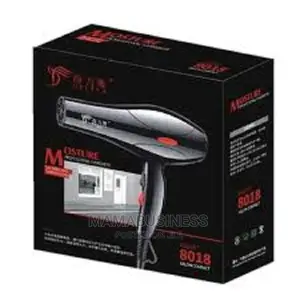 Professional Quick Dry Hair Dryer