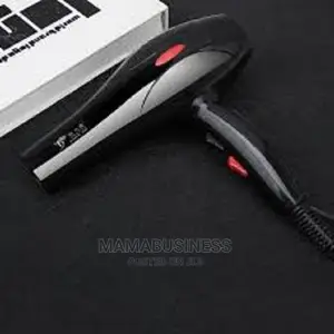 Professional Quick Dry Hair Dryer