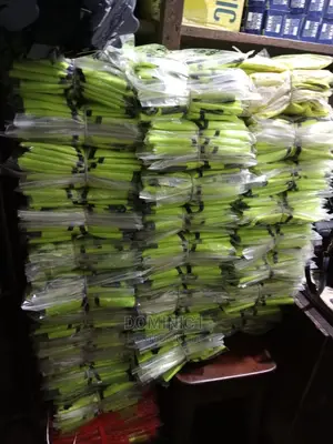 Original Reflective Jacket