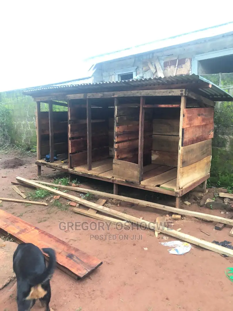 We Build Solid Dog Cages of Any Size