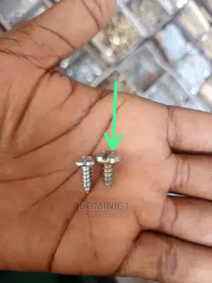 Screw Bolts