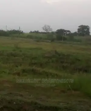 A Land of Dry Land for Sale