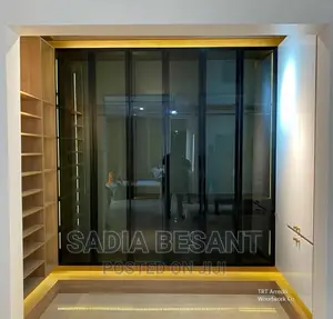 Contemporary Walk-in Closet