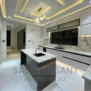 Luxury Kitchen Cabinet Design With Accessories