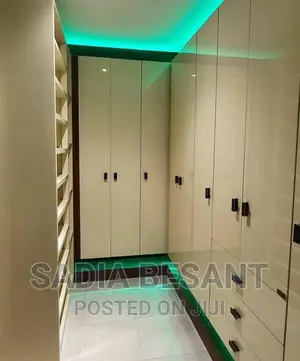 Contemporary Walk-in Closet Interior Design