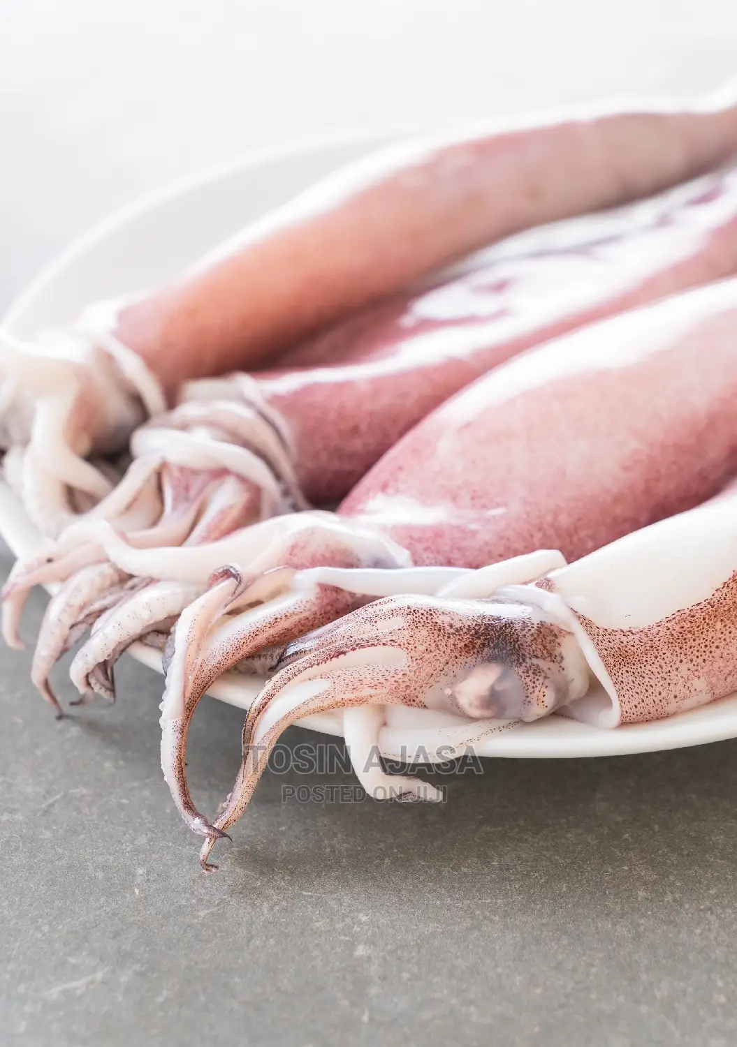 Calamari / Squid