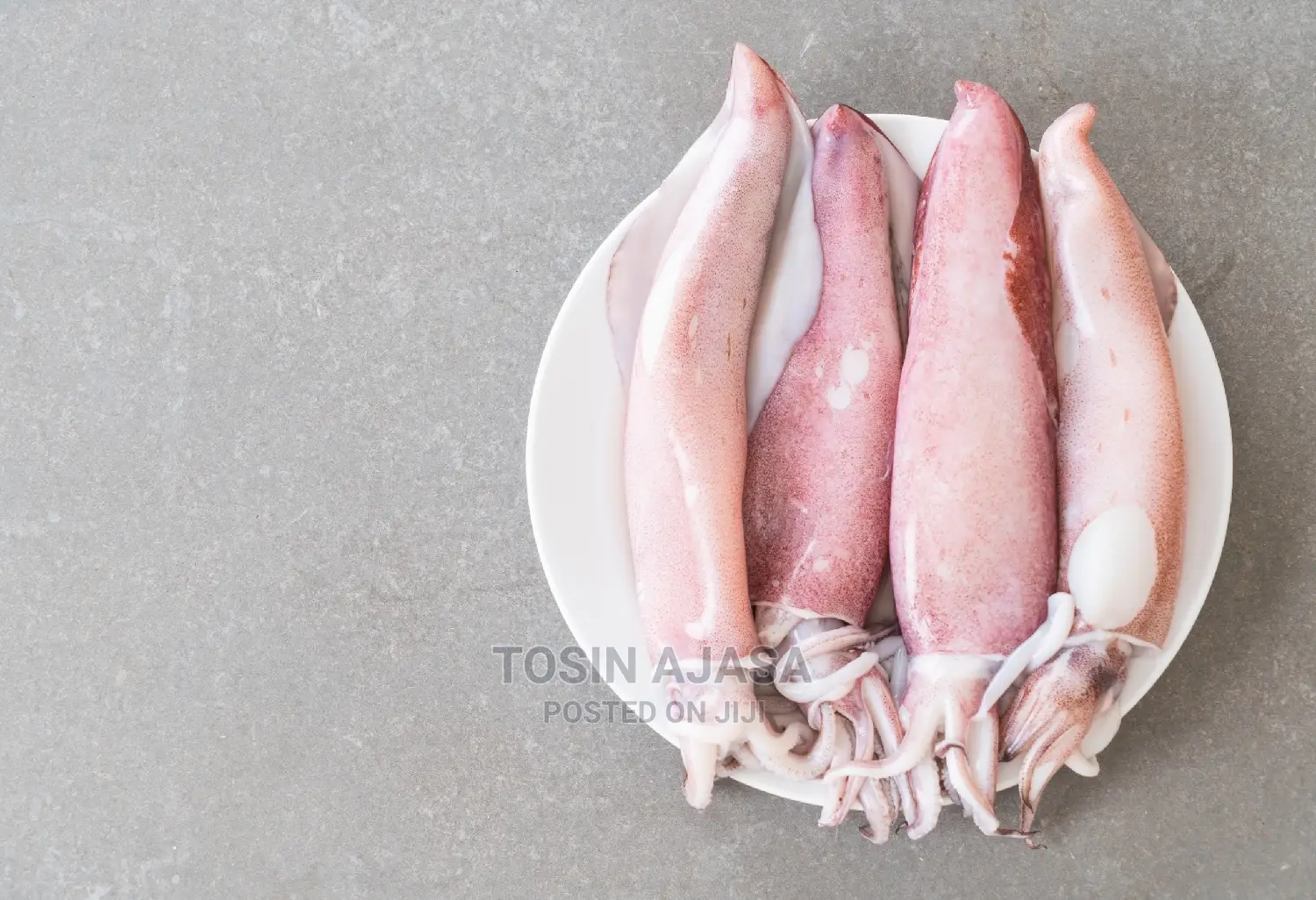 Calamari / Squid